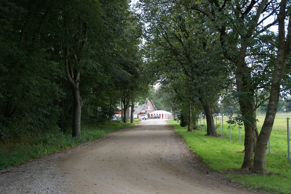 stald_arthur_003.jpg