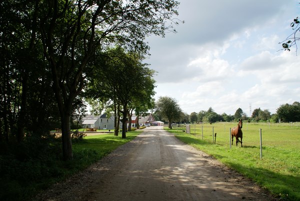 stald_arthur_004.jpg