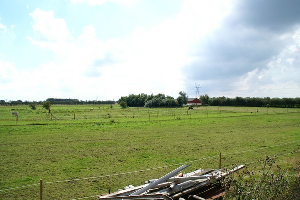 stald_arthur_010.jpg