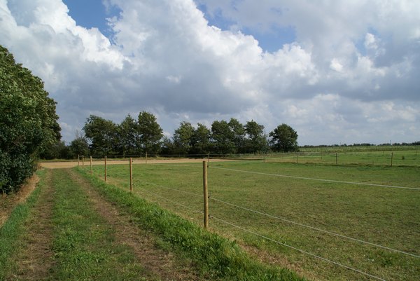 stald_arthur_011.jpg